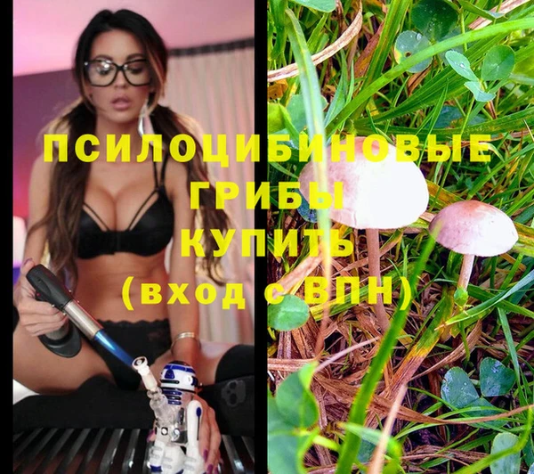 героин Алексин