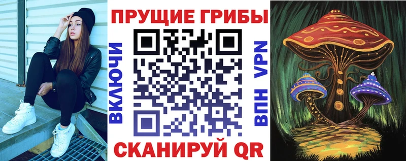 Псилоцибиновые грибы GOLDEN TEACHER  площадка клад  Славск 